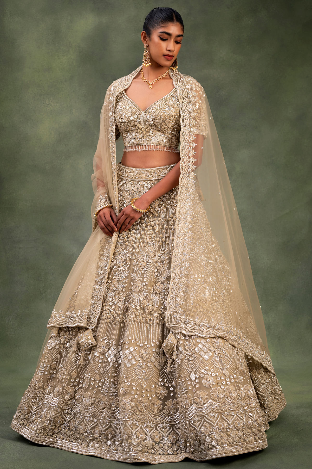 Dark Beige Net Reception Lehenga with Sequins Work and Leaf Neck Blouse-GC4805