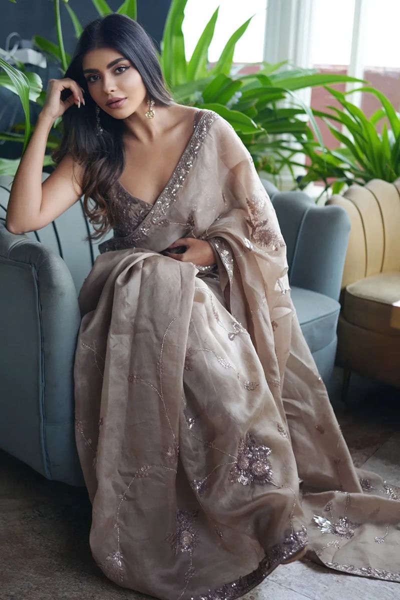 Vijashree Kalburgi in Brown Organza Saree