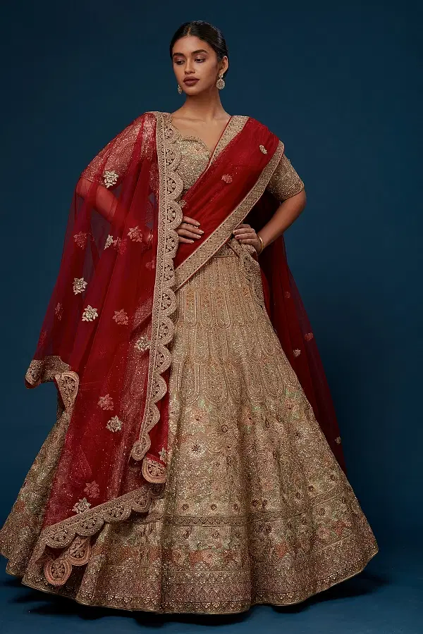 Latest lehenga designs 2019 for wedding with price shop