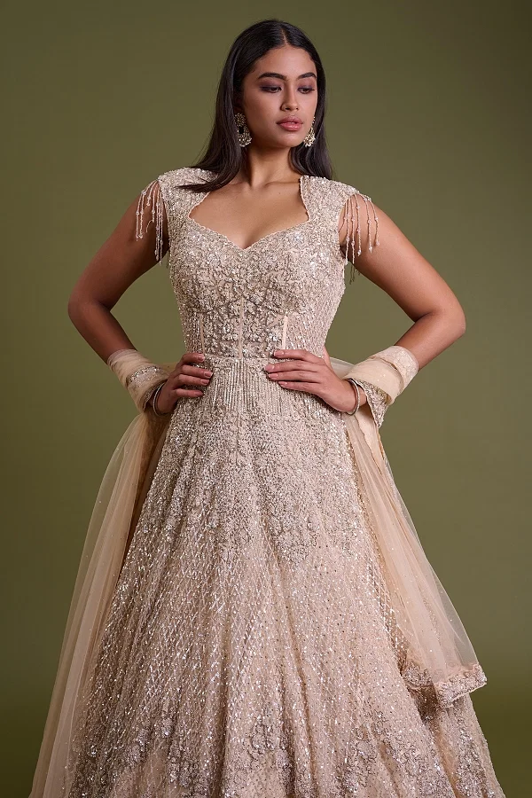 Indo Western Gown Dresses Western Gowns Online Gowns Samyakk